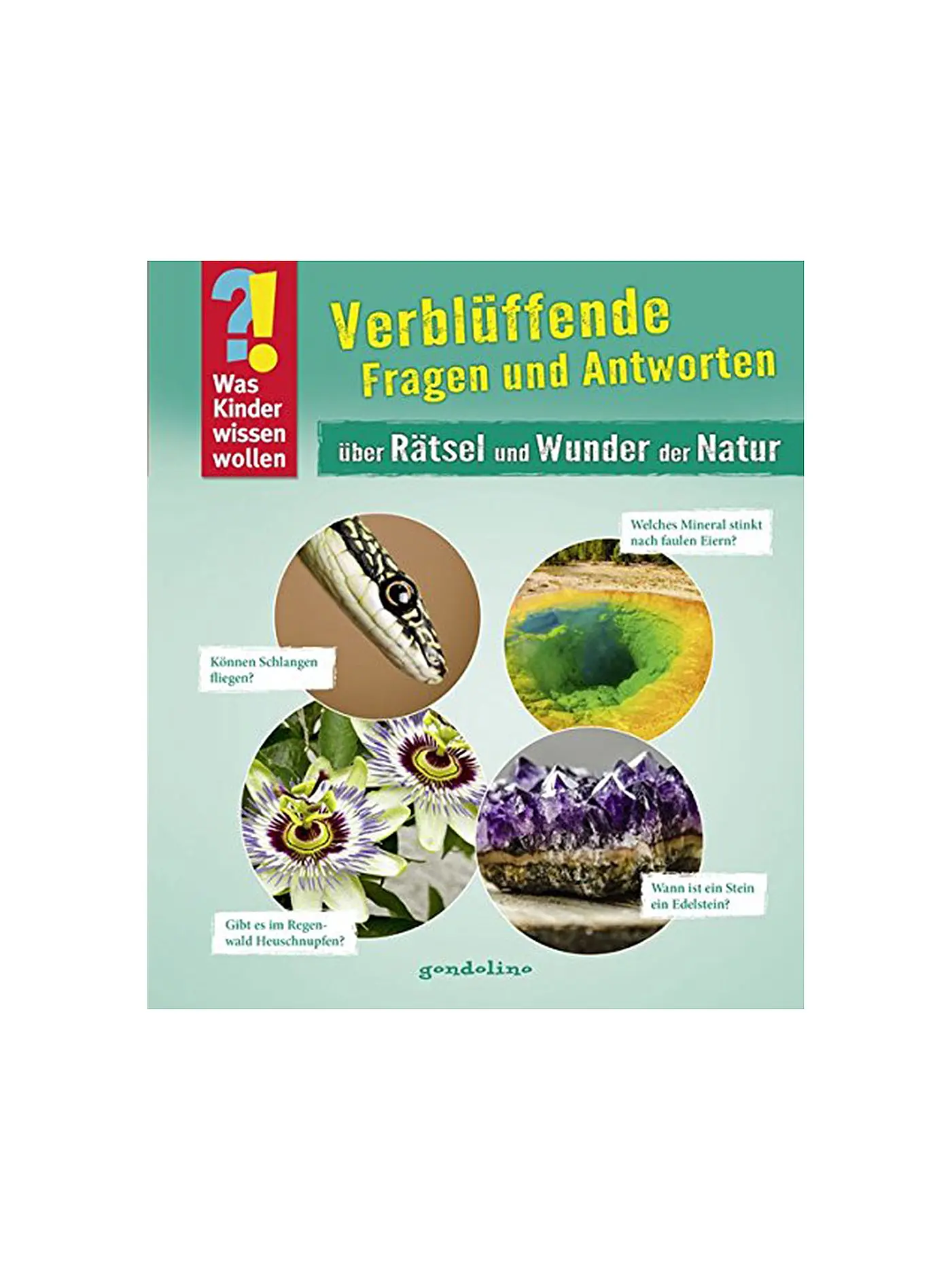 GONDOLINO | Buch - Verblüffende Fragen und Antworten über Rätsel und Wunder der Natur - Band 8 (Gebundene Ausgabe) | 